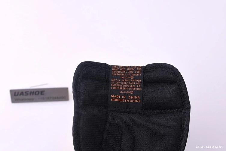 Backboard Jordan Shattered 3.0 555088-028 Air 1 0419